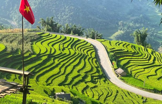 Y Ty rice fields